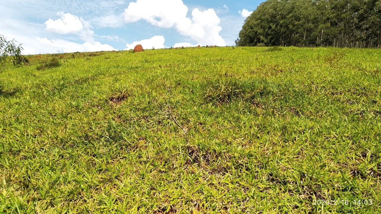 Terreno à venda, 55189m² - Foto 10