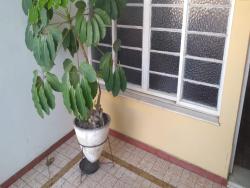 #CA6884_PAL - Casa para Venda em Roseira - SP - 2